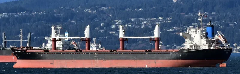 KOBE GLORIA Bulk Carrier IMO 9668324 photo 4