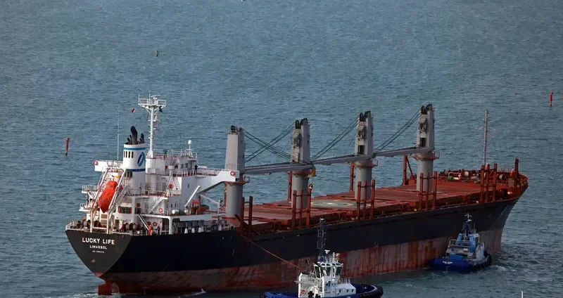 LUCKY LIFE Bulk Carrier IMO 9668336