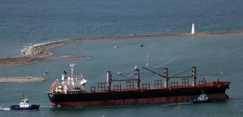 LUCKY LIFE Bulk Carrier IMO 9668336 photo 2