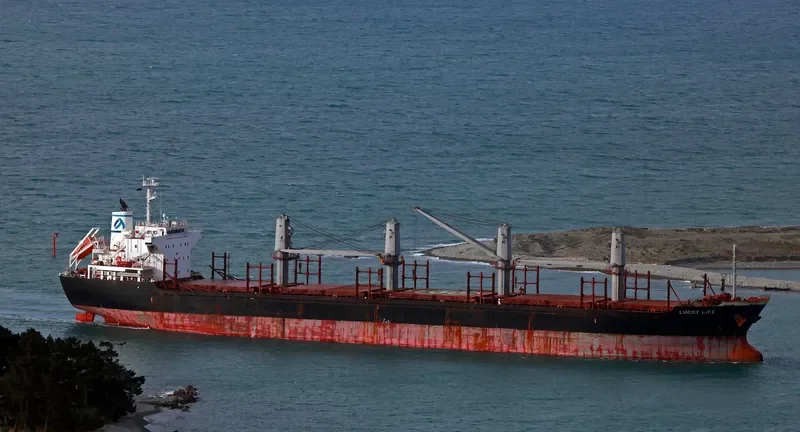 LUCKY LIFE Bulk Carrier IMO 9668336 photo 3