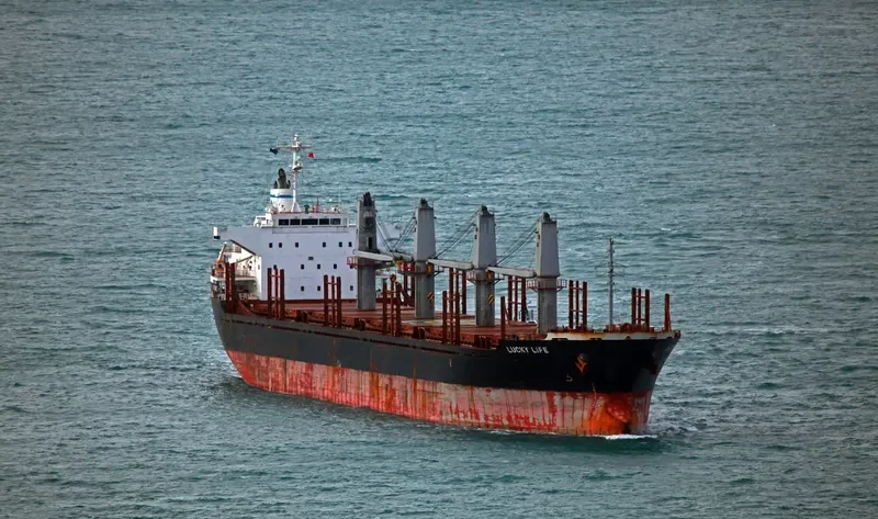 LUCKY LIFE Bulk Carrier IMO 9668336 photo 4