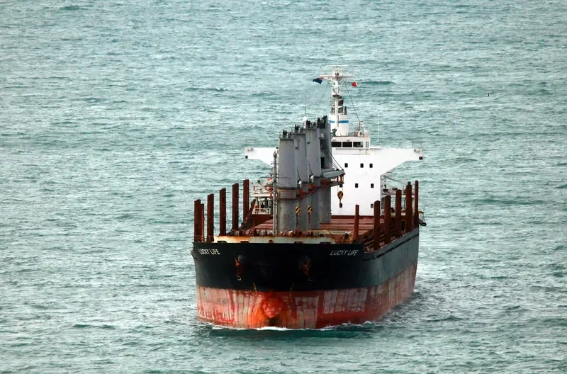 LUCKY LIFE Bulk Carrier IMO 9668336 photo 5