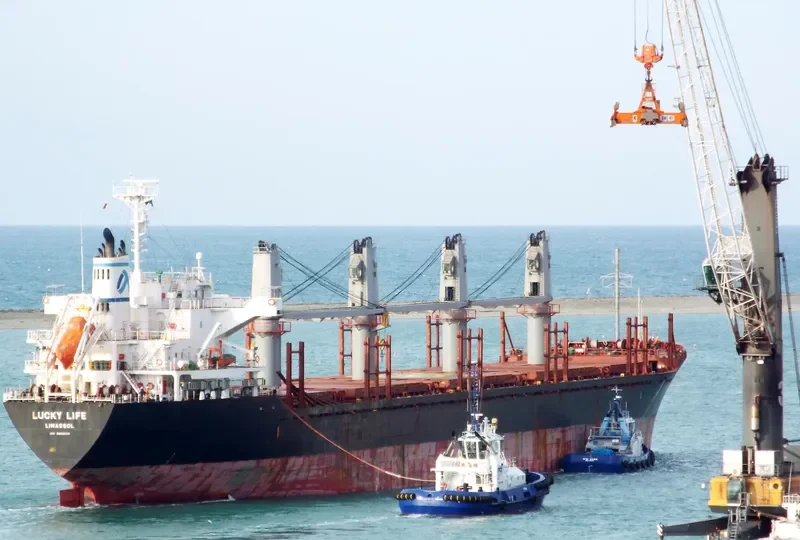 LUCKY LIFE Bulk Carrier IMO 9668336 photo 6