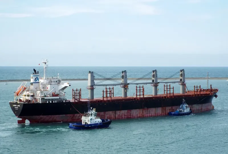 LUCKY LIFE Bulk Carrier IMO 9668336 photo 7