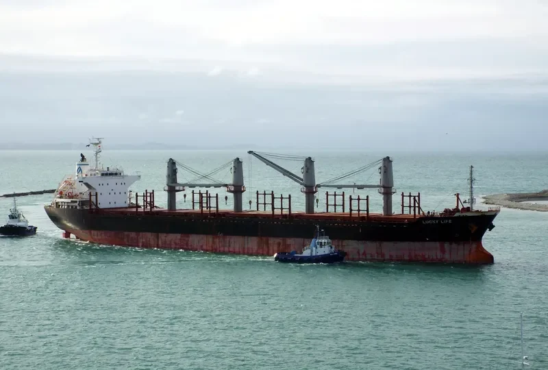 LUCKY LIFE Bulk Carrier IMO 9668336 photo 8