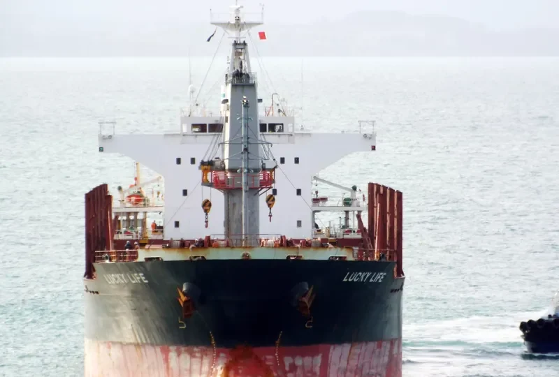 LUCKY LIFE Bulk Carrier IMO 9668336 photo 9