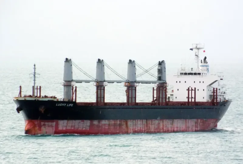 LUCKY LIFE Bulk Carrier IMO 9668336 photo 10