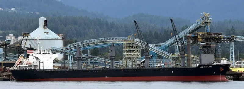 MOMO GLORY Bulk Carrier IMO 9668350 photo 2