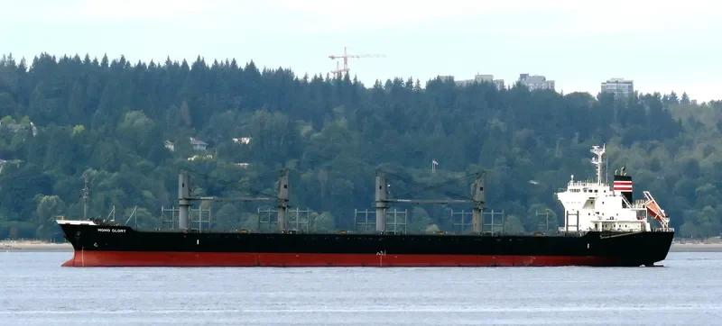 MOMO GLORY Bulk Carrier IMO 9668350 photo 3
