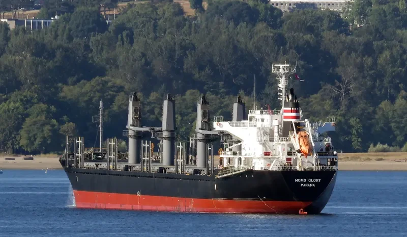 MOMO GLORY Bulk Carrier IMO 9668350 photo 4
