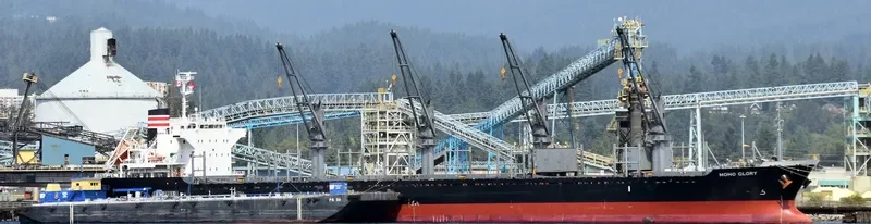 MOMO GLORY Bulk Carrier IMO 9668350 photo 6