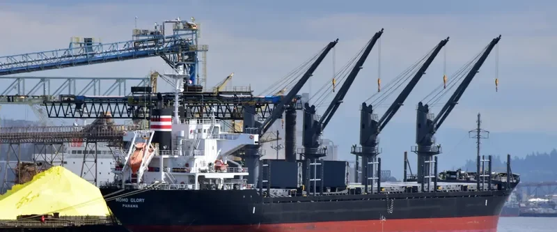 MOMO GLORY Bulk Carrier IMO 9668350 photo 7