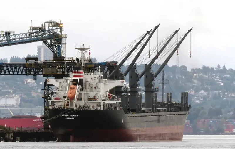 MOMO GLORY Bulk Carrier IMO 9668350 photo 9