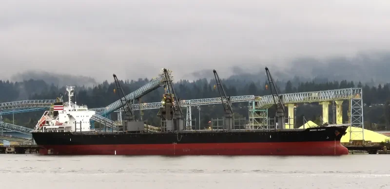 MOMO GLORY Bulk Carrier IMO 9668350 photo 10