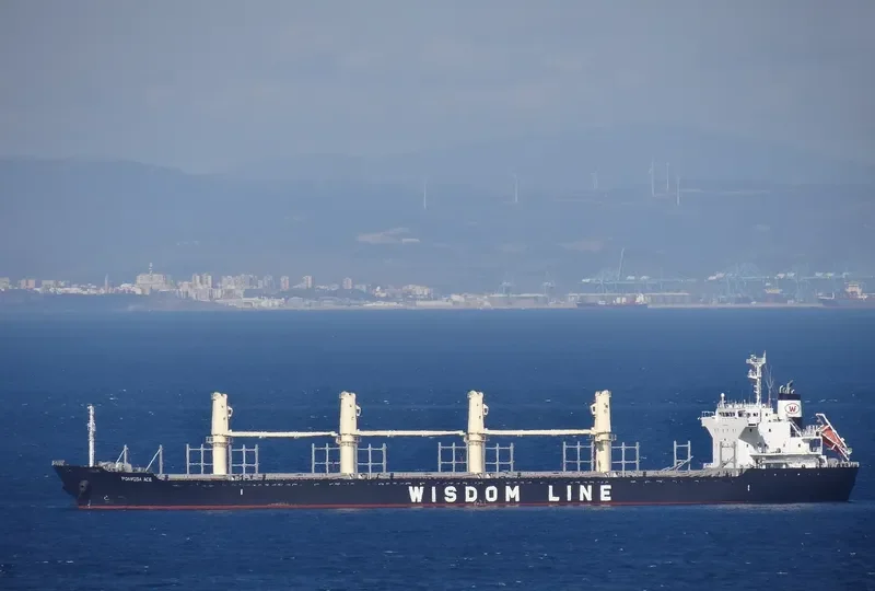 POAVOSA ACE Bulk Carrier IMO 9668362 photo 2