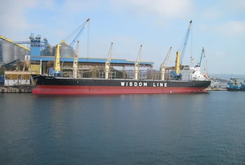 POAVOSA ACE Bulk Carrier IMO 9668362 photo 5