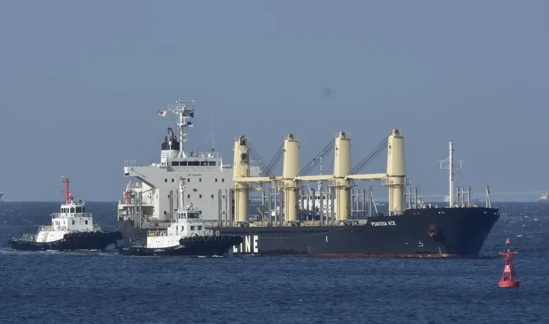 POAVOSA ACE Bulk Carrier IMO 9668362 photo 6