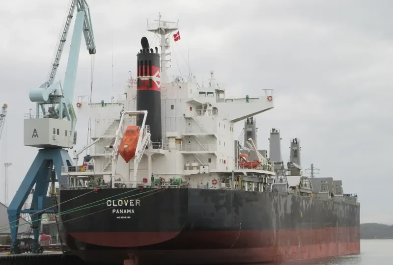CLOVER Bulk Carrier IMO 9668386