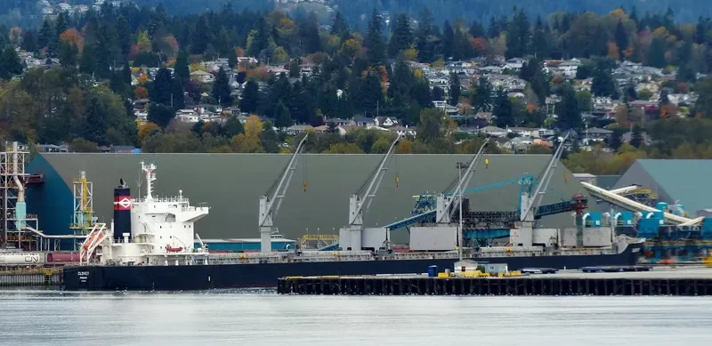 CLOVER Bulk Carrier IMO 9668386 photo 4