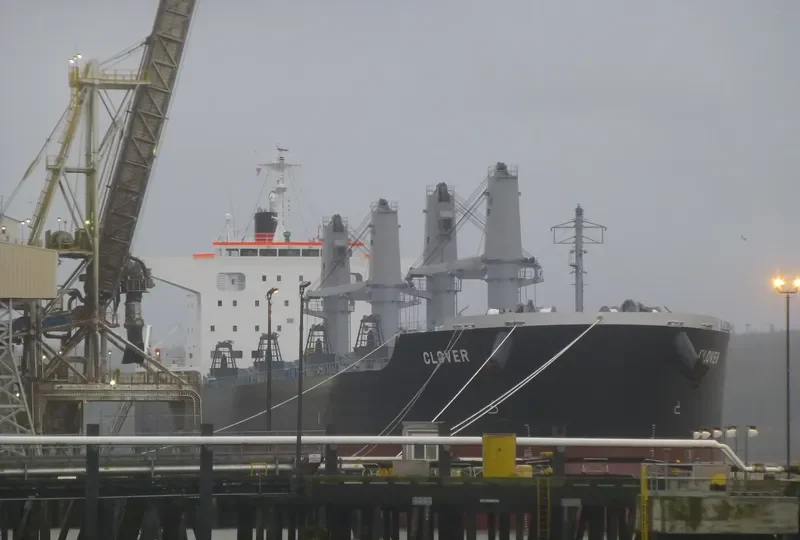 CLOVER Bulk Carrier IMO 9668386 photo 6