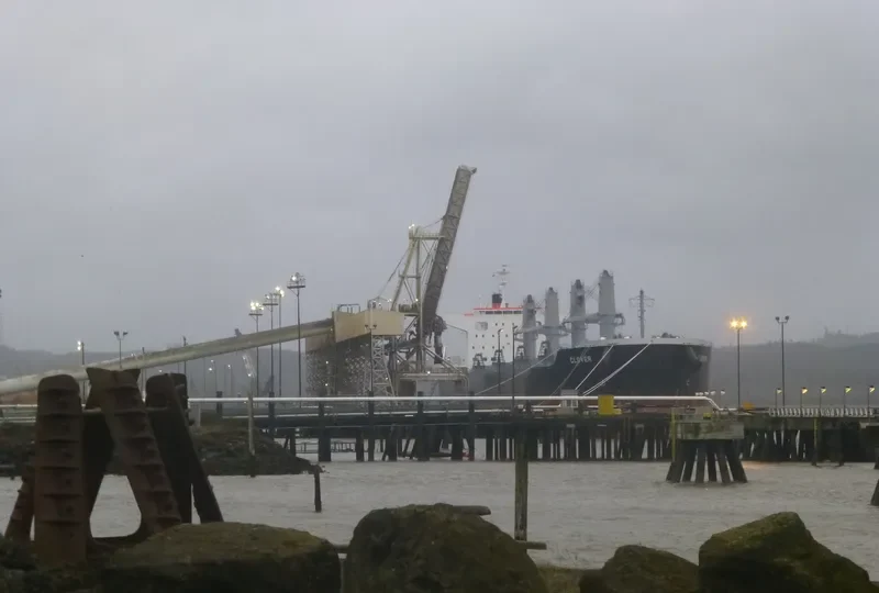 CLOVER Bulk Carrier IMO 9668386 photo 7