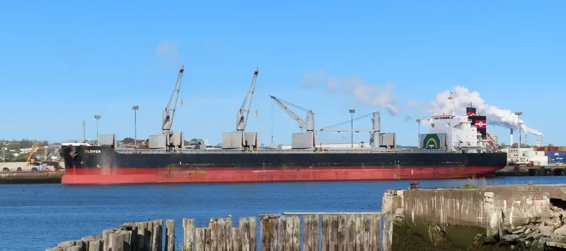 CLOVER Bulk Carrier IMO 9668386 photo 9
