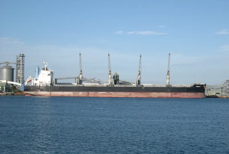 MARLIN V Bulk Carrier IMO 9668398