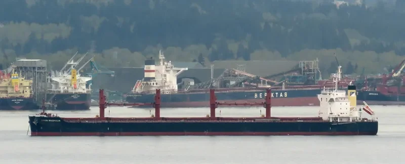 GIORGOS DRACOPOULOS Bulk Carrier IMO 9668403 photo 4