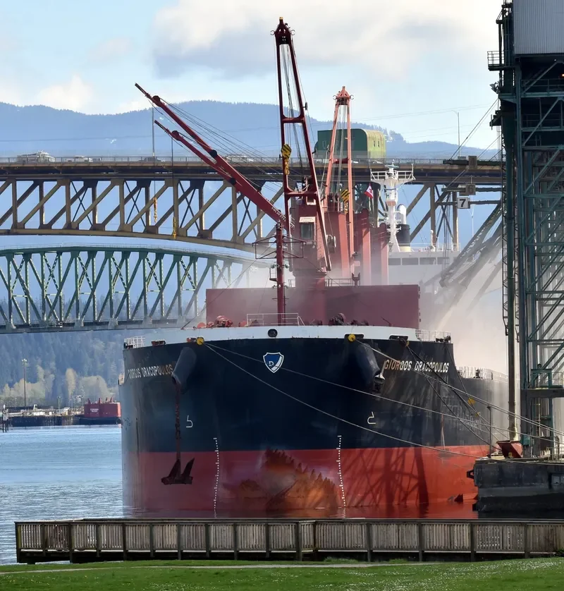 GIORGOS DRACOPOULOS Bulk Carrier IMO 9668403 photo 6