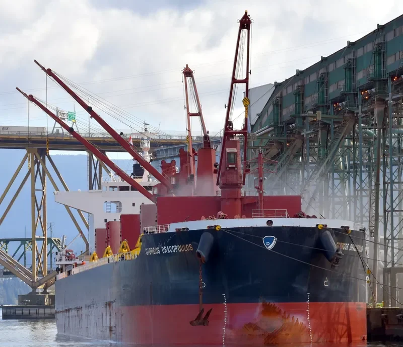 GIORGOS DRACOPOULOS Bulk Carrier IMO 9668403 photo 8