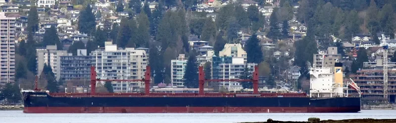 GIORGOS DRACOPOULOS Bulk Carrier IMO 9668403 photo 9