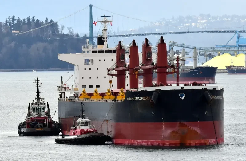 GIORGOS DRACOPOULOS Bulk Carrier IMO 9668403 photo 10