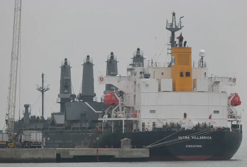 WELLPARK Bulk Carrier IMO 9668556
