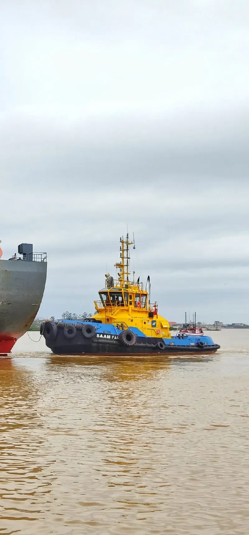 SMIT PARECI General Cargo IMO 9668661 photo 8