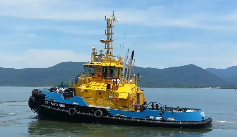 SAAM PARINTINS General Cargo IMO 9668702