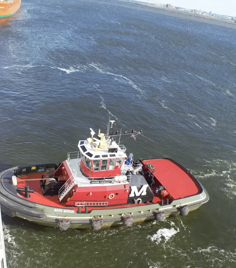 MARK MORAN General Cargo IMO 9668790 photo 6