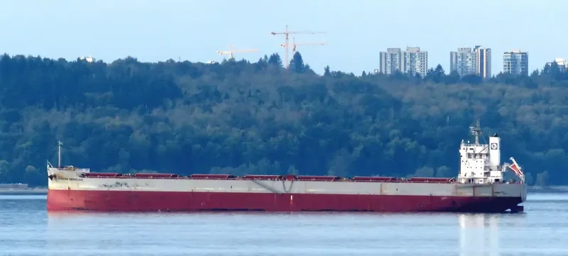 ATROTOS HERACLES Bulk Carrier IMO 9668879