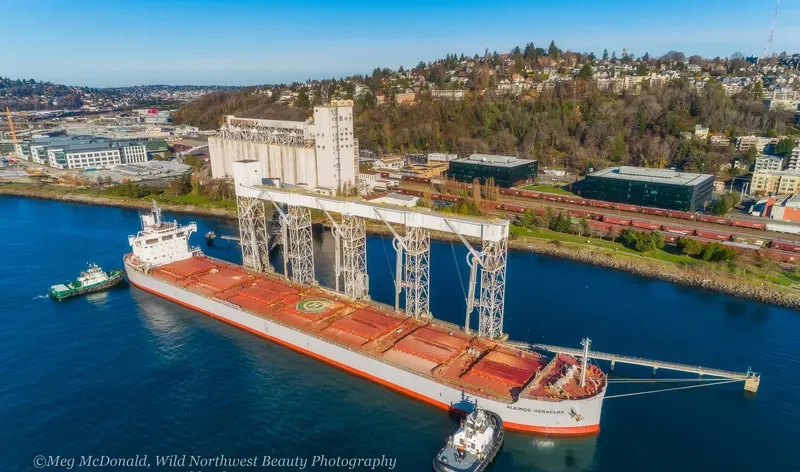 ALKIMOS HERACLES Bulk Carrier IMO 9668881 photo 9