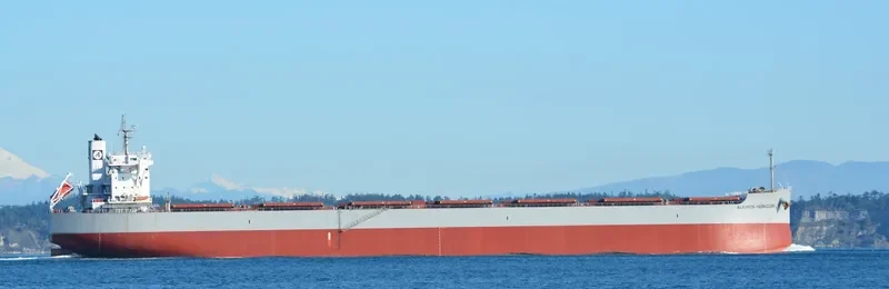 ALKIMOS HERACLES Bulk Carrier IMO 9668881 photo 10
