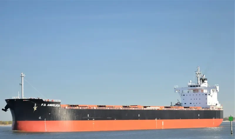 MAJULAH HARBOURFRONT Bulk Carrier IMO 9668893