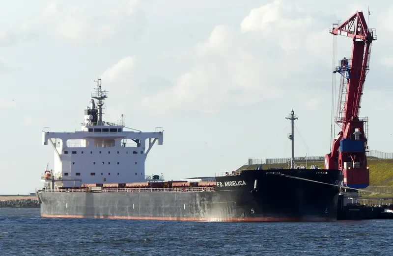 MAJULAH HARBOURFRONT Bulk Carrier IMO 9668893 photo 2