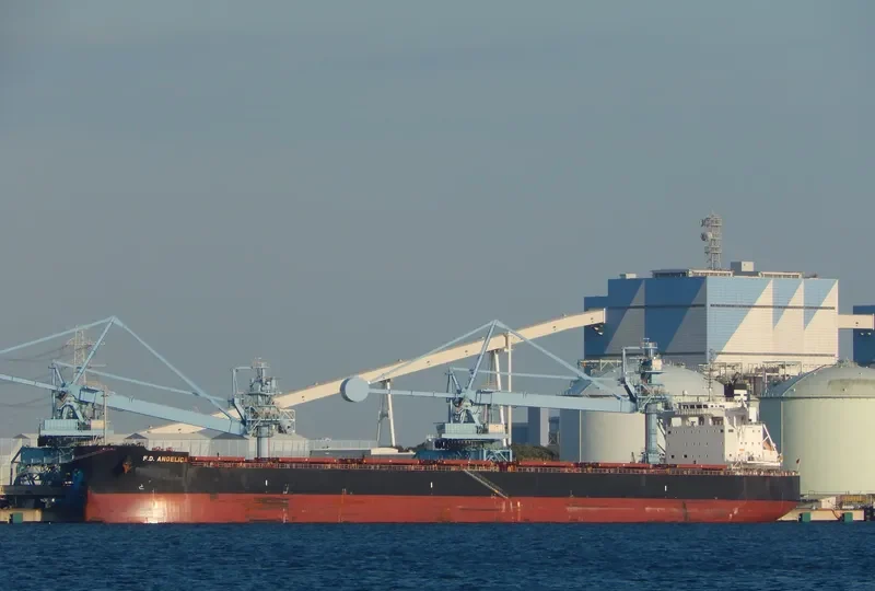 MAJULAH HARBOURFRONT Bulk Carrier IMO 9668893 photo 3
