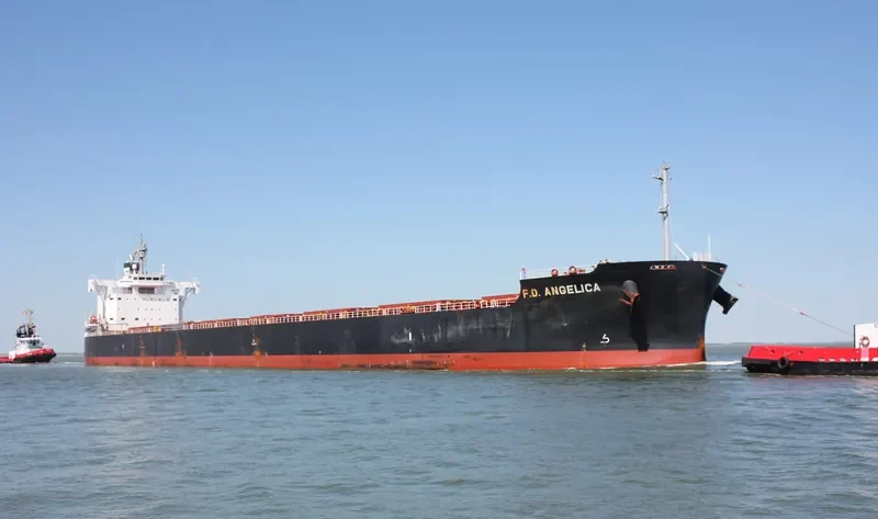 MAJULAH HARBOURFRONT Bulk Carrier IMO 9668893 photo 4