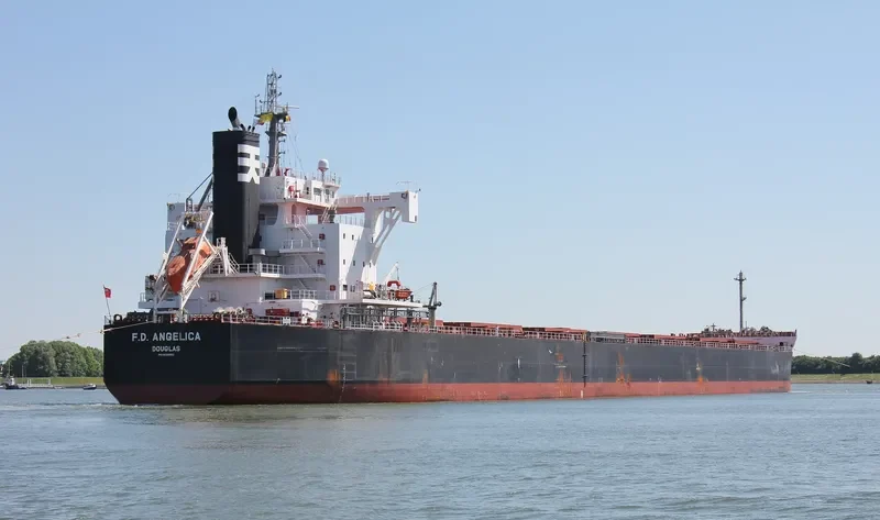 MAJULAH HARBOURFRONT Bulk Carrier IMO 9668893 photo 5