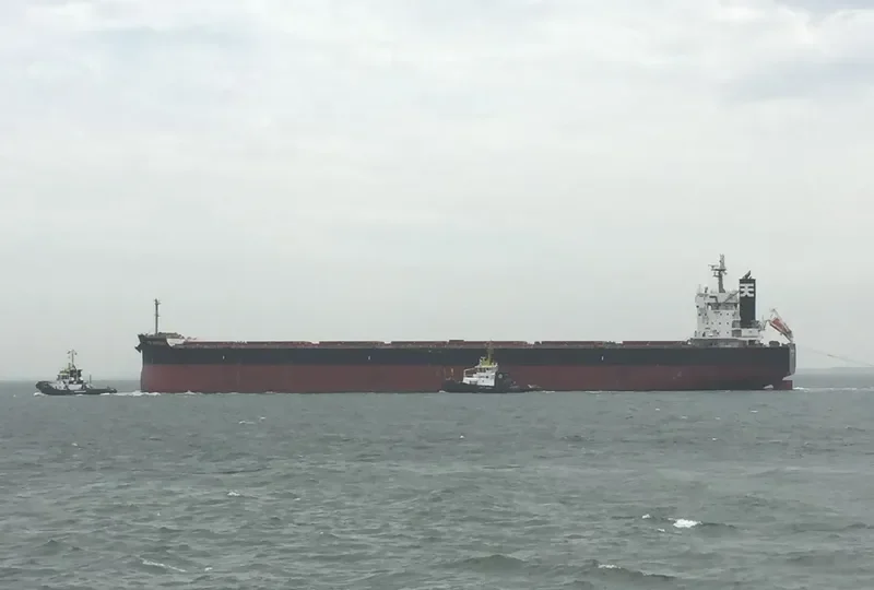MAJULAH HARBOURFRONT Bulk Carrier IMO 9668893 photo 6