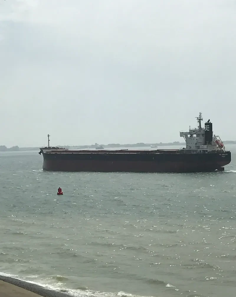 MAJULAH HARBOURFRONT Bulk Carrier IMO 9668893 photo 7