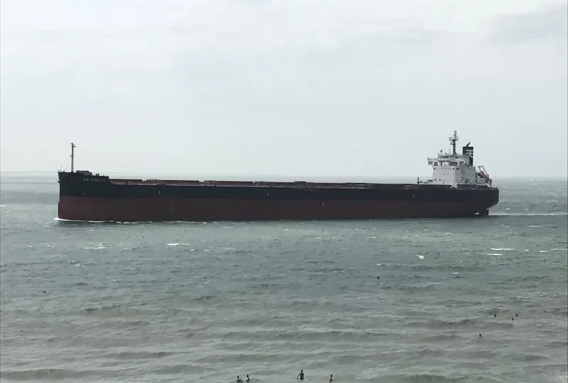 MAJULAH HARBOURFRONT Bulk Carrier IMO 9668893 photo 8