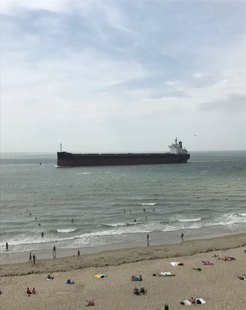 MAJULAH HARBOURFRONT Bulk Carrier IMO 9668893 photo 9