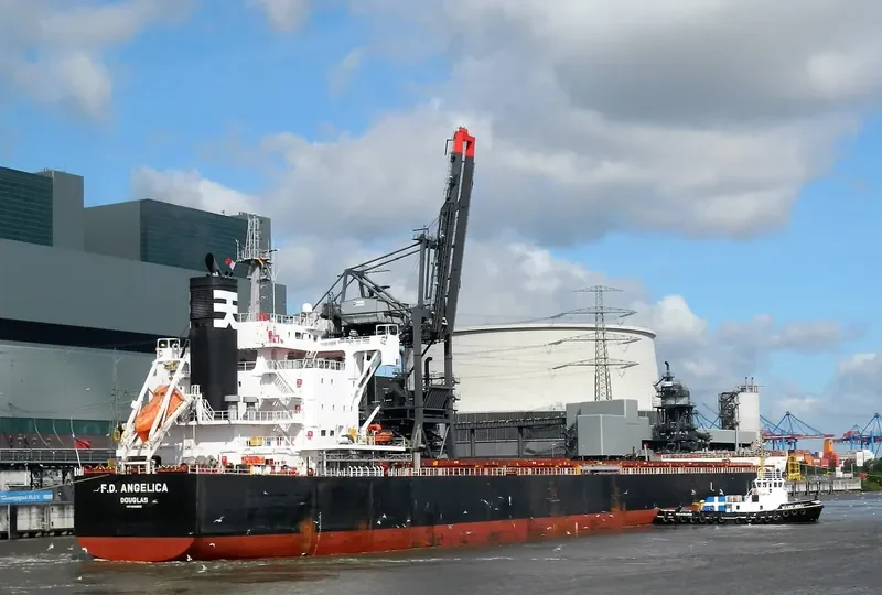 MAJULAH HARBOURFRONT Bulk Carrier IMO 9668893 photo 10
