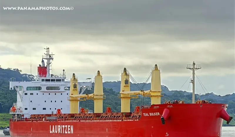 TEAL BULKER Bulk Carrier IMO 9668908